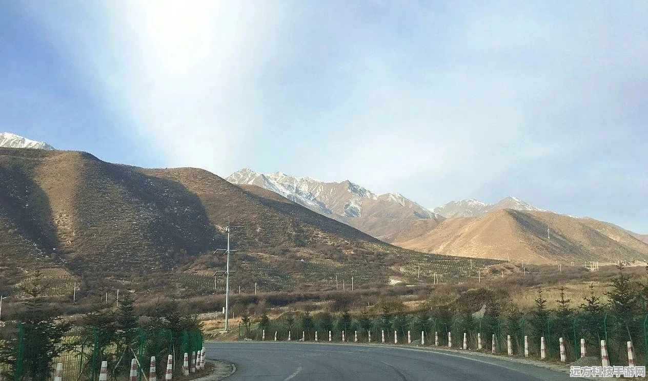 我的世界神奇宝贝，探索精灵刷新地的奇妙之旅
