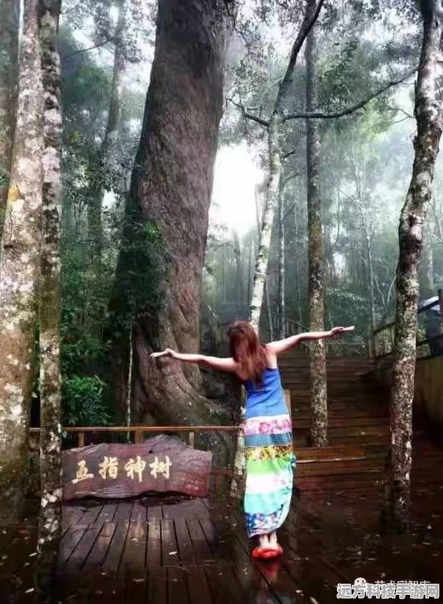 妄想山海四万九战力能否单刷神树？实战解析与攻略