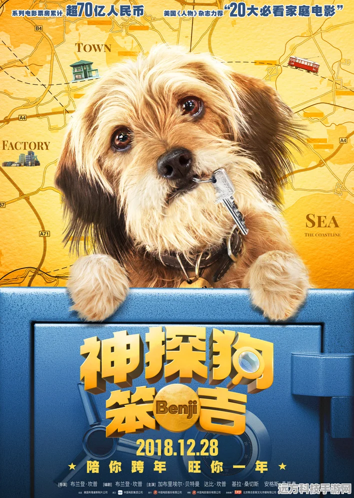 解锁猫之城艾可的最终篇章，探索艾可的奇妙之旅