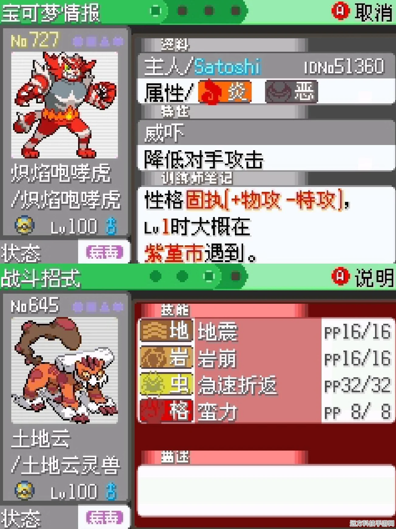 口袋妖怪究极绿宝石，功夫鼬的格斗风采