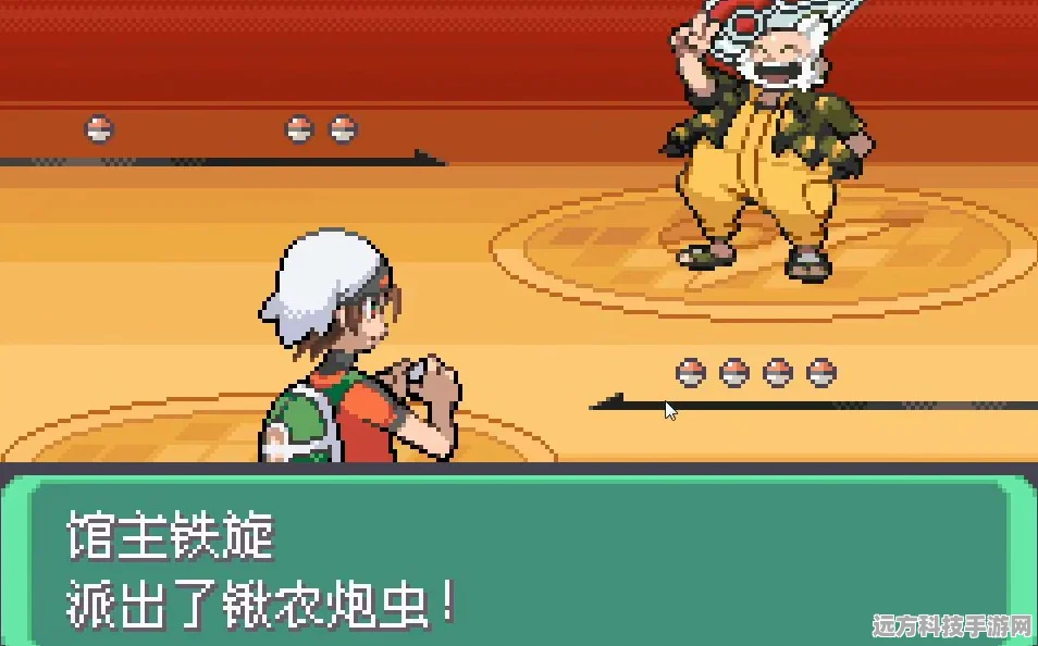 口袋妖怪究极绿宝石，功夫鼬的格斗风采