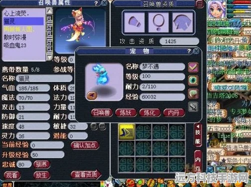 梦幻西游，揭秘捕捉人形猫灵的终极技巧