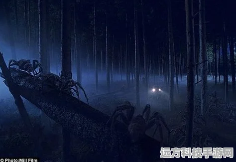 霍格沃茨之遗禁林宝藏秘库全揭秘，探险家的终极指南