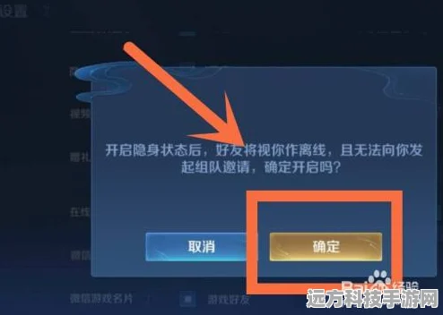 王者荣耀隐身访问开启全攻略，轻松保护你的游戏隐私