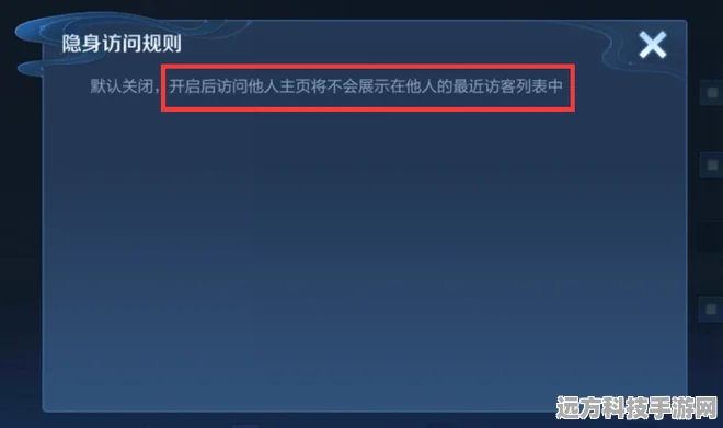 王者荣耀隐身访问开启全攻略，轻松保护你的游戏隐私