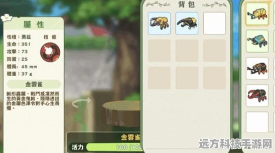 小森生活甲虫任务全攻略，捕捉、竞技与触发秘籍