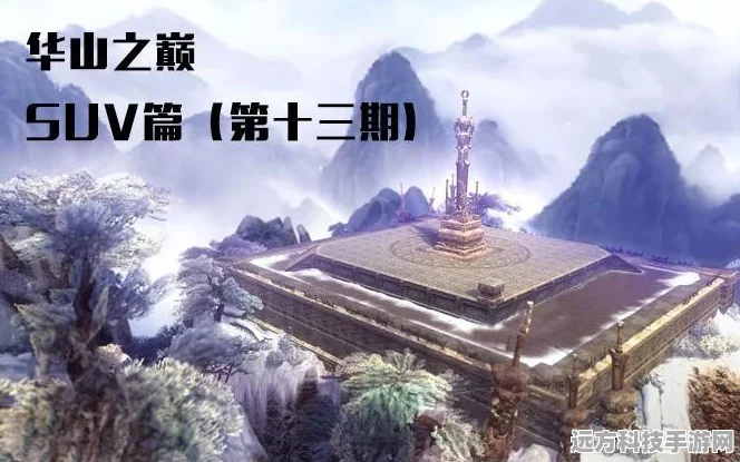 华山之巅，少林称雄，双人赛策略与同伴搭配全解析