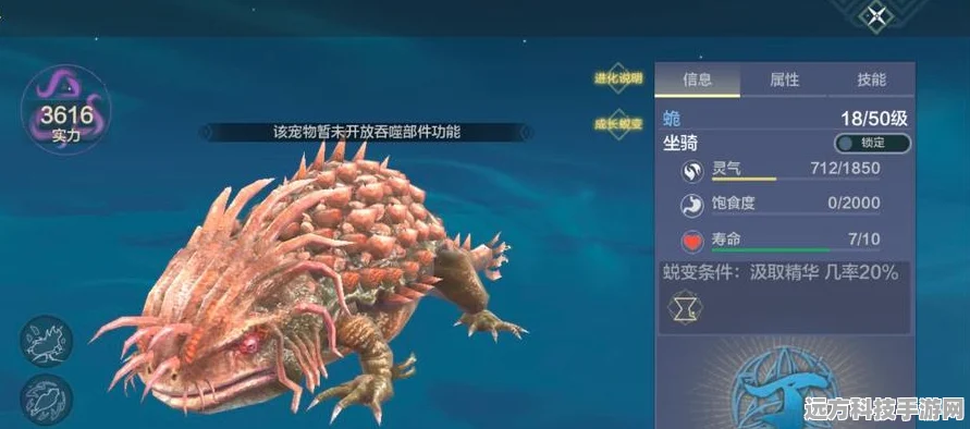 妄想山海，宠物卡吞噬技巧大揭秘，打造你的吞噬巨兽！