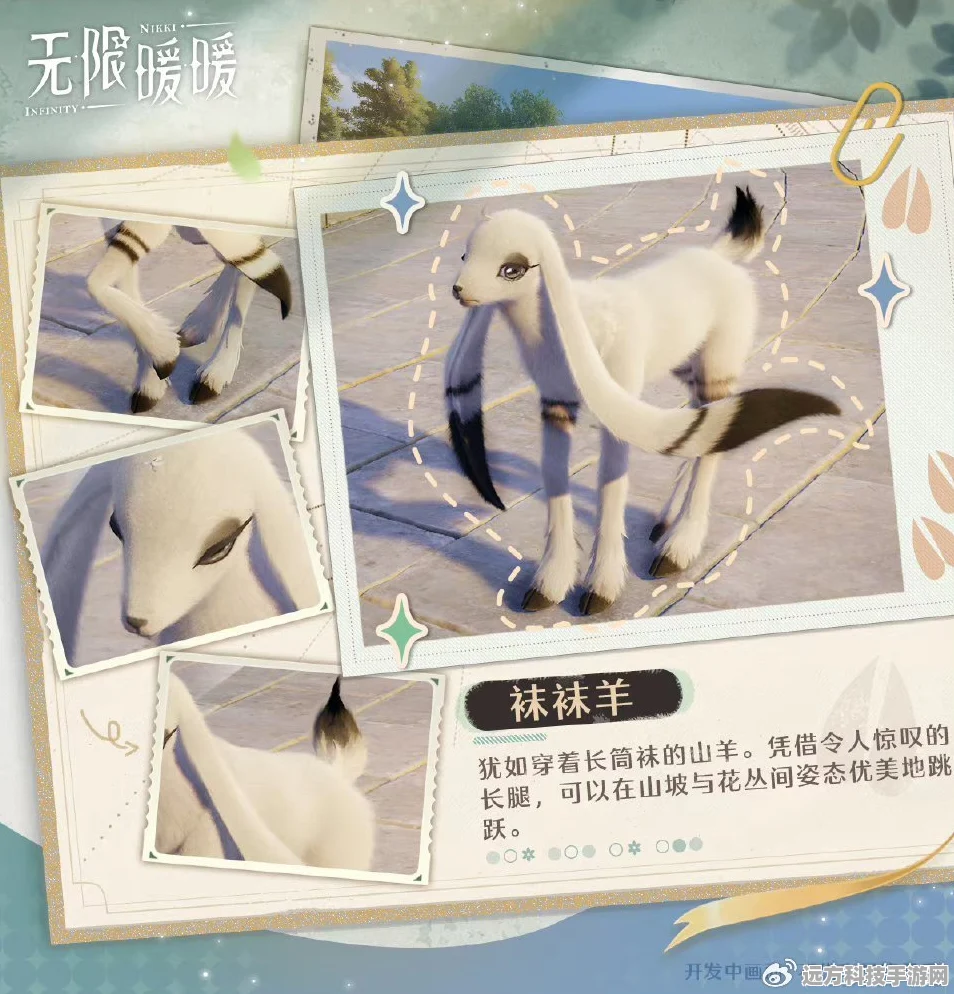 无限暖暖绵羊大搜救，照片调查攻略深度剖析