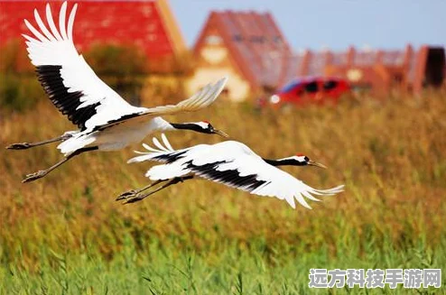 三角洲行动终极挑战，T0级武器搭配与制胜策略全揭秘