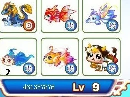 奥比岛探秘，西域佳人龙鱼的垂钓秘境