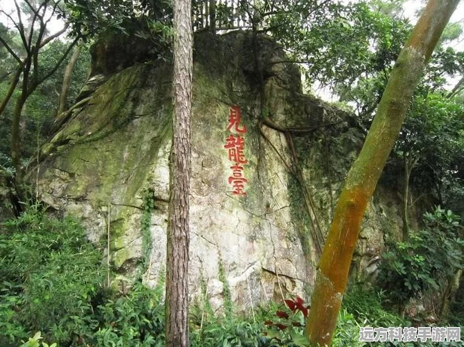 传奇世界3D道士爬塔，解锁高层秘境的独家秘籍