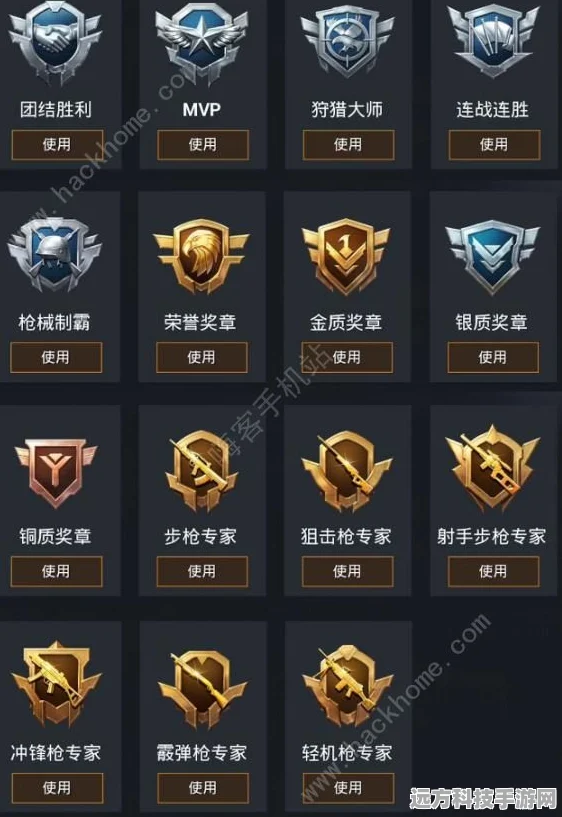 和平精英战队勋章解锁秘籍，彰显你的战队情怀