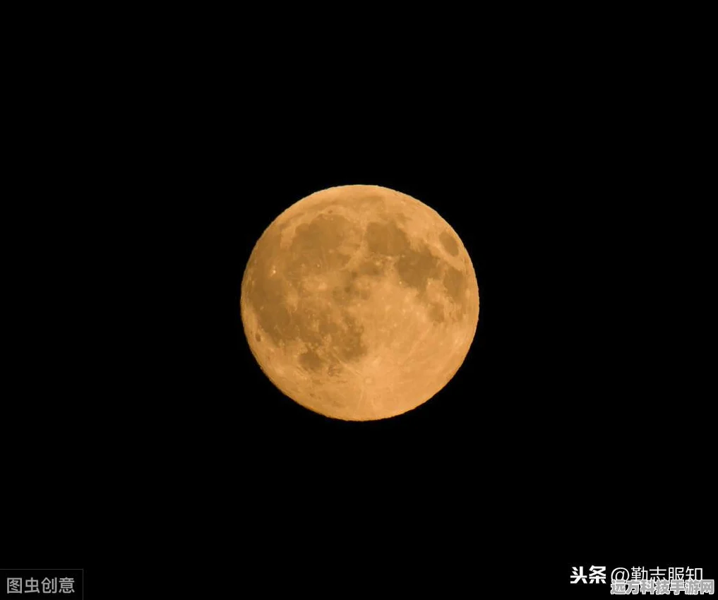 嫦娥内丹加点攻略，解锁乱斗西游新战力