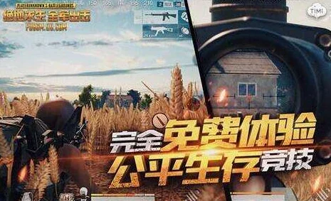 绝地求生全军出击黑屏闪退？这些方法让你重燃战斗激情！