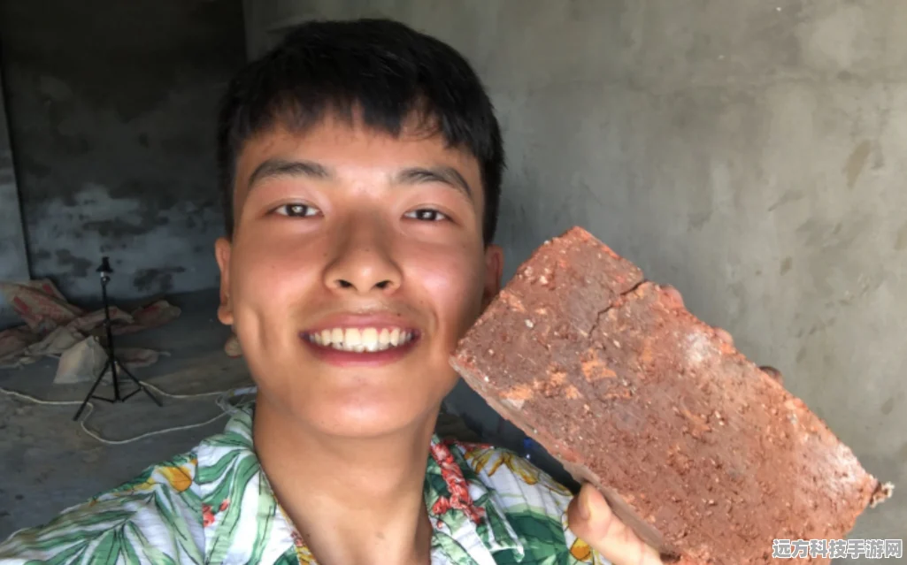 巴雄天下，深度解析搬砖党的高效致富秘籍