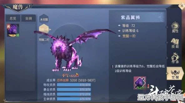 斗破苍穹手游升斗者全攻略，解锁斗者之路的奥秘