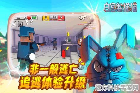 元梦之星森林躲猫猫，顶尖玩家私藏无敌点位大公开