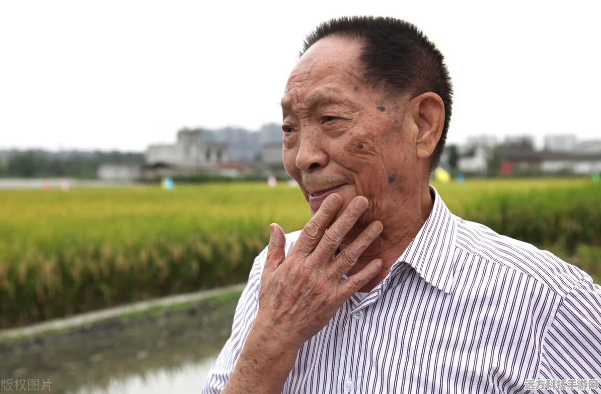 饥荒幸运猫罐，解锁神秘功能的奇妙道具