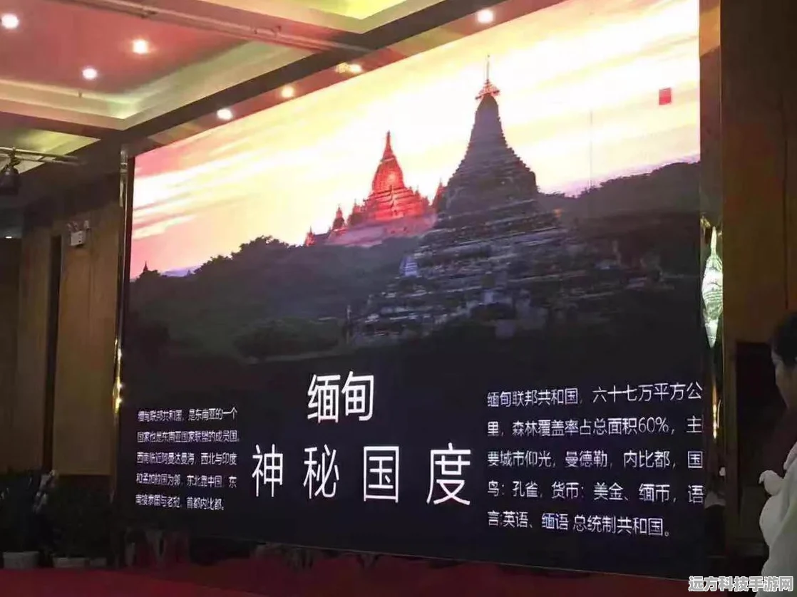 航海王热血航线，揭秘10个木材的获取地点与任务攻略