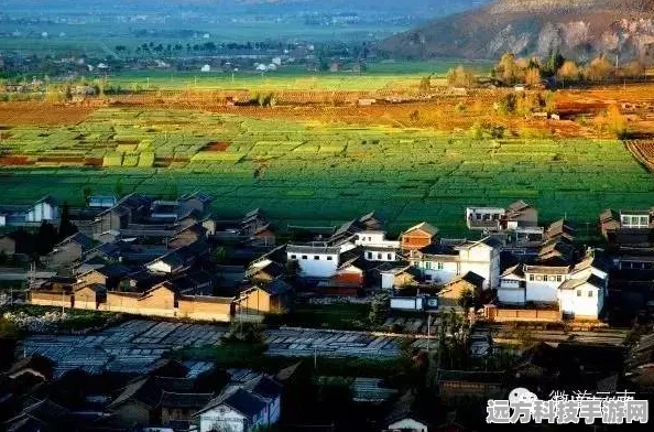 江南百景图，农家小院修复全攻略，打造你的田园风光