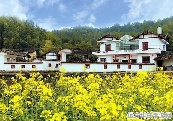 江南百景图，农家小院修复全攻略，打造你的田园风光