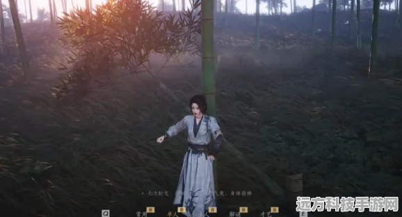 燕云十六声侠缘解除步骤全揭秘，助你优雅告别侠侣