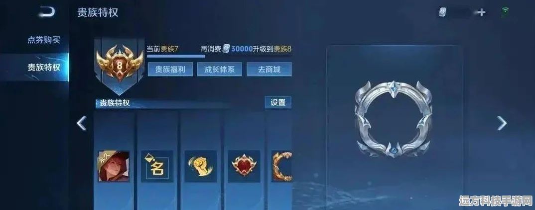王者荣耀贵族10，解锁尊享特权，畅享游戏乐趣