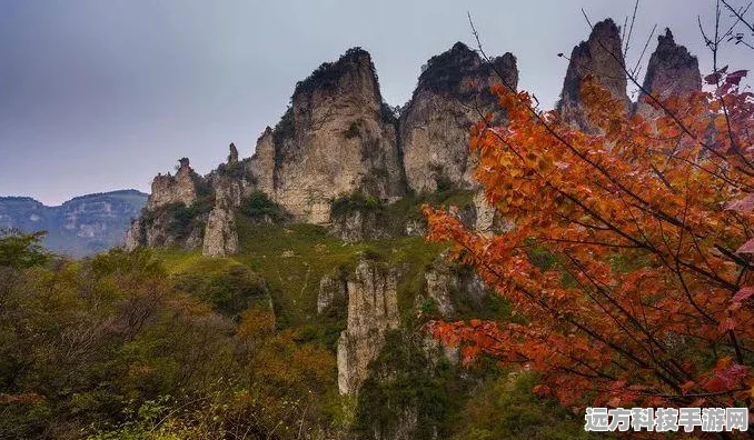 原神万叶秘境色彩变幻全攻略，掌握变色技巧，遨游斑斓奇境
