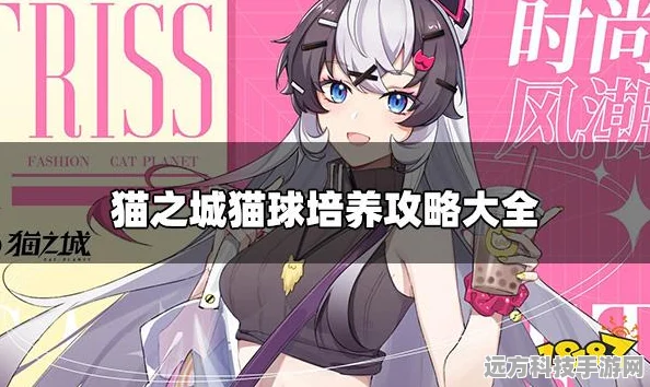 猫之城猫球训练秘籍，打造你的萌宠战队