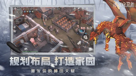 冰原守卫者，装备选择与穿搭的艺术