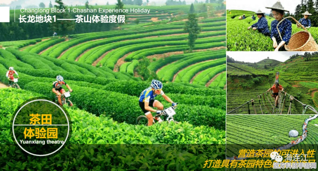 桃源深处有人家花圃育种秘籍，萝萝山育种技巧大公开