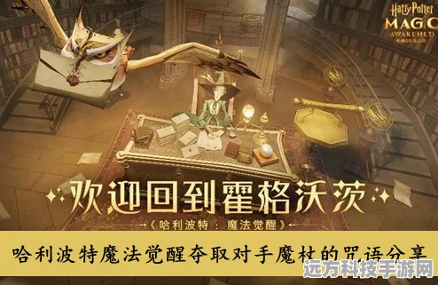 哈利波特魔法觉醒，揭秘雷羽回环魔杖获取秘籍