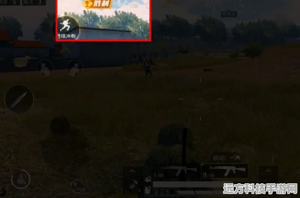 和平精英前五提醒关闭攻略，详解操作与机制