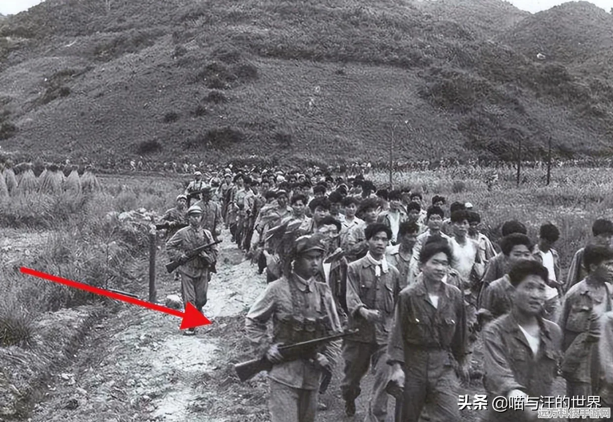 宝藏世界战力飙升秘籍，解锁战力值飞跃的全面攻略