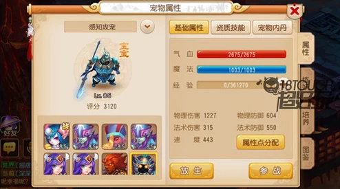 暖雪圣物全揭秘，属性效果一网打尽