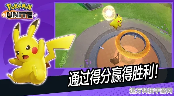 宝可梦大集结，索罗亚克持有物选择全攻略
