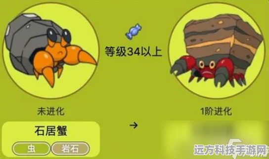 宝可梦大集结深度解析，岩殿居蟹防御型持有物搭配全攻略