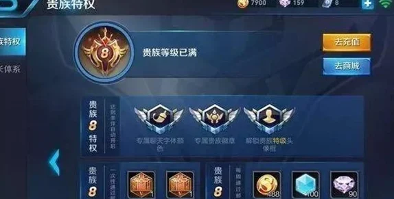 王者荣耀V10无双贵族，尊享特权与皮肤共享全攻略