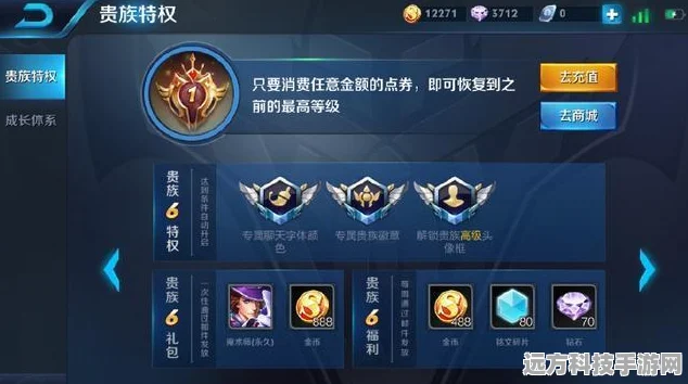 王者荣耀V10无双贵族，尊享特权与皮肤共享全攻略