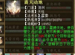 大话西游2深度解析，揭秘忽视属性的奥秘