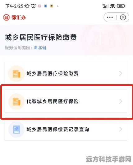 鄂汇办代缴家人合作医疗，轻松玩转指尖操作