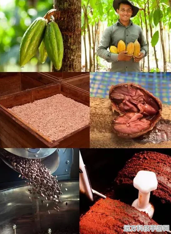 我的世界可可豆种植与高效获取全攻略