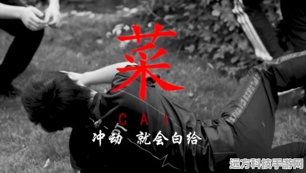 航海王热血航线，揭秘伐木场的神秘位置与玩法