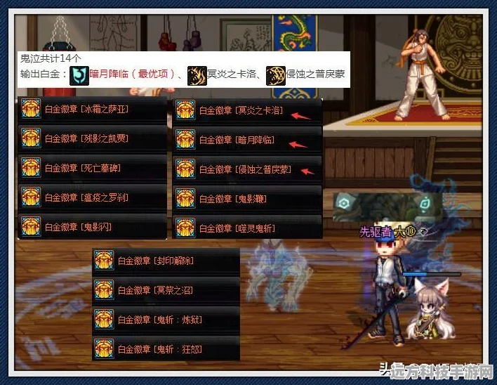 DNF抗性提升秘籍，揭秘哪些徽章能增强角色抗性