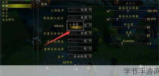 魔兽世界帧数波动之谜，探寻流畅游戏体验的奥秘