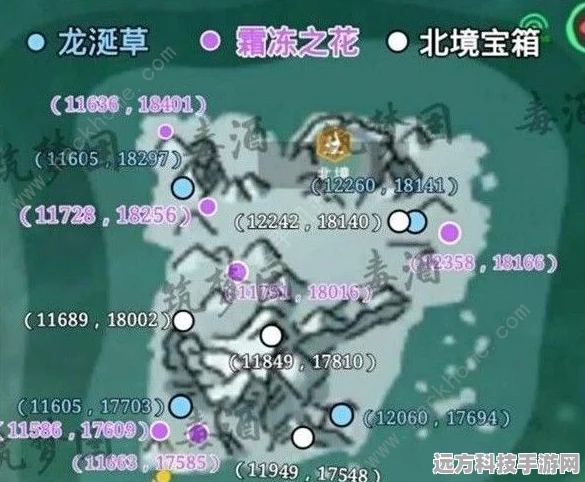 创造与魔法鹦鹉踪迹揭秘，位置坐标全分享