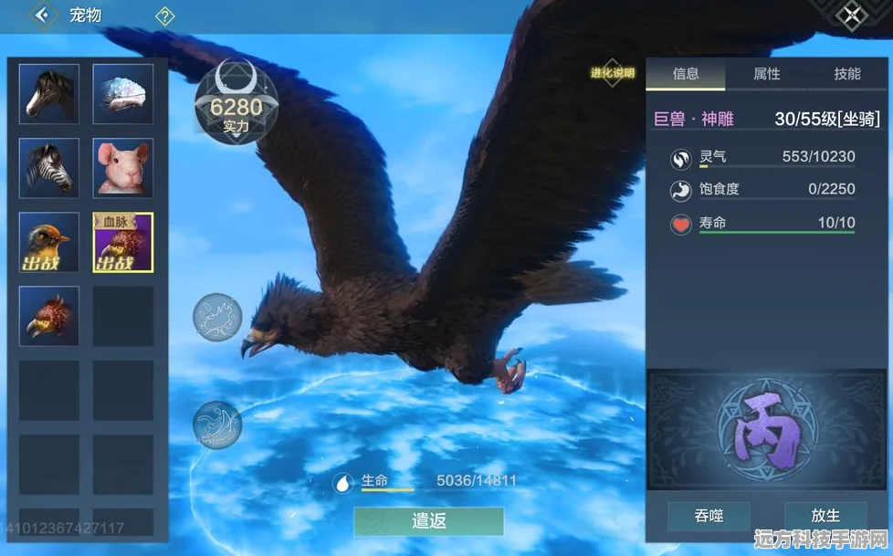 妄想山海翠鹞羽毛获取秘籍，新手至达人全面进阶