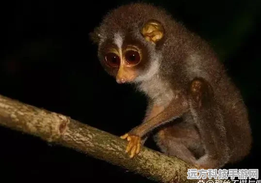 我的世界，打造超多生物群落世界的奇幻之旅