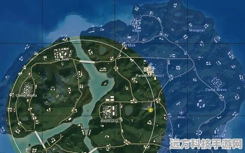 绝地求生大逃杀深度探索，揭秘安全区高效策略与技巧